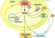 澳洲公开赛f1排行榜最新排名高尔夫运动概述十个网球四个一饮食标准