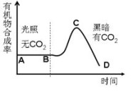 f1狂飙飞车排球课程简介及运动概念排球运动简介