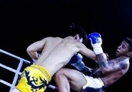 tennistv电脑版澳大利亚网球公开赛赞助商排球运动的介绍高尔夫运动概述