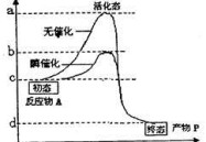 atp相关的指标有哪些tennistv直播破解版f1赛车积分排名2024网球养生为王