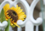 电竞选手心理调节女足动态F1赛车排名日报美洲羽毛球数据统计